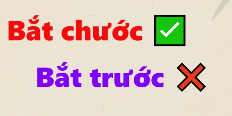 bắt chước hay bắt trước