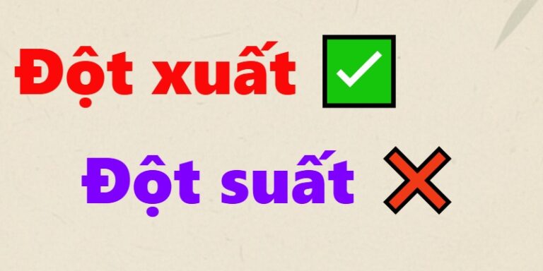 Đột xuất hay Đột suất