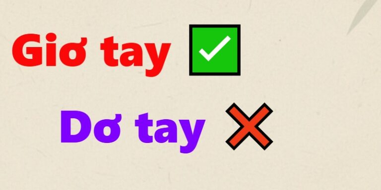 giơ tay hay dơ tay