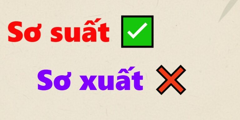 Sơ suất hay Sơ xuất
