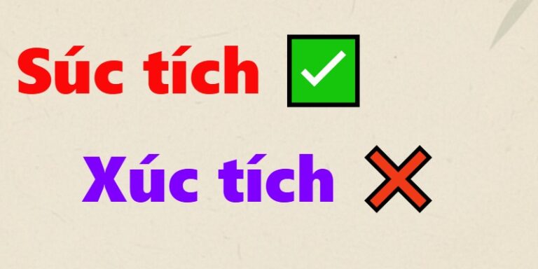 súc tích hay xúc tích